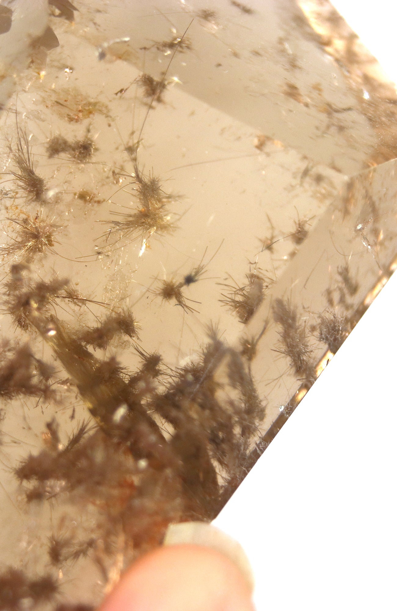 Lodalite Quartz Freeform Generator